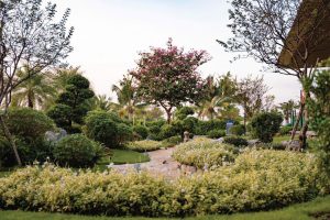 z7453583815503 443835aeb40403a4e6846bf1bfc9b3d0